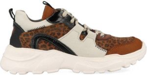 Braqeez Sneakers Robin Run