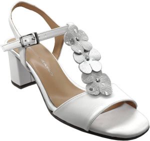Brenda Zaro Sandalen F3242