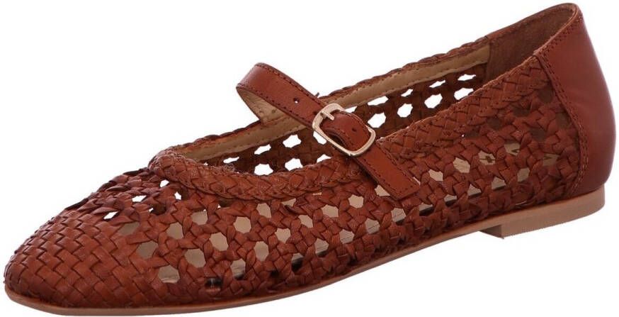 Bullboxer Ballerina's