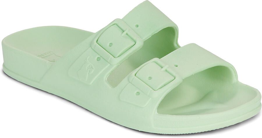 Cacatoès Slippers BELO HORIZONTE