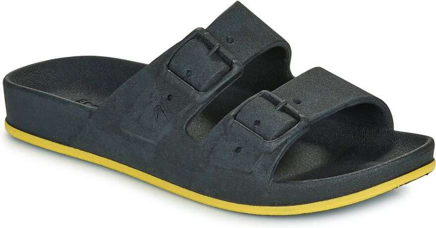 Cacatoès Slippers BRASILIA