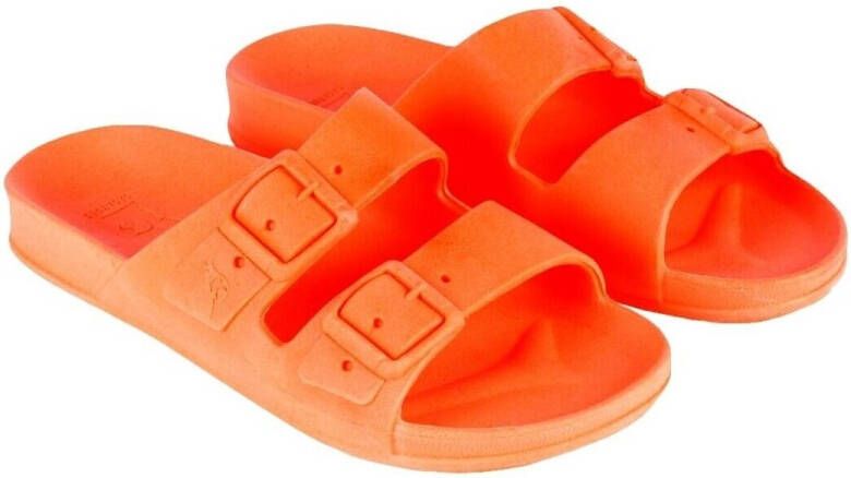 Cacatoès Teenslippers