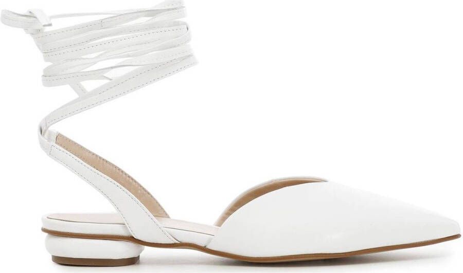 Café Noir Ballerina's C1ED4250