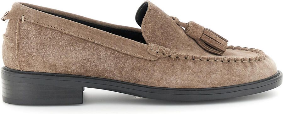 Café Noir Mocassins C1EM6013