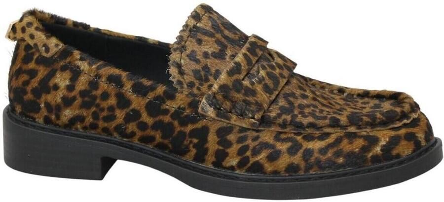 Café Noir Mocassins CAF-I26-EM8012-MA