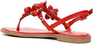 Café Noir Sandalen C1GF1820