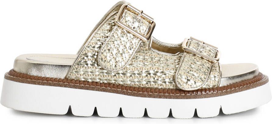 Café Noir Slippers C1GM9045