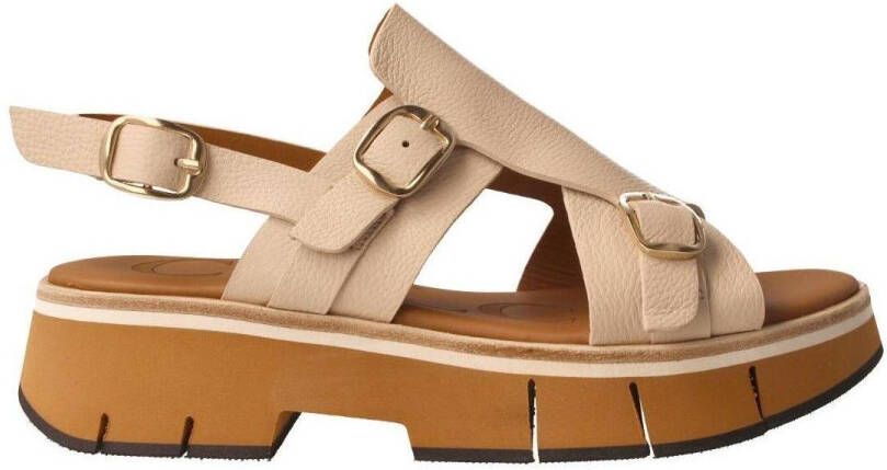 Calce Sandalen