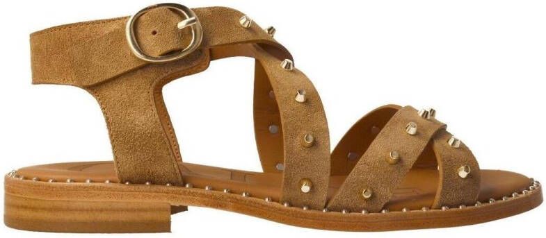 Calce Sandalen