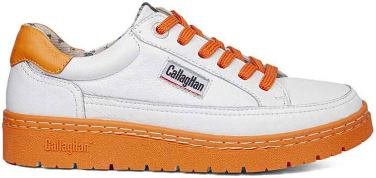 CallagHan Lage Sneakers Sport 55804 Petete