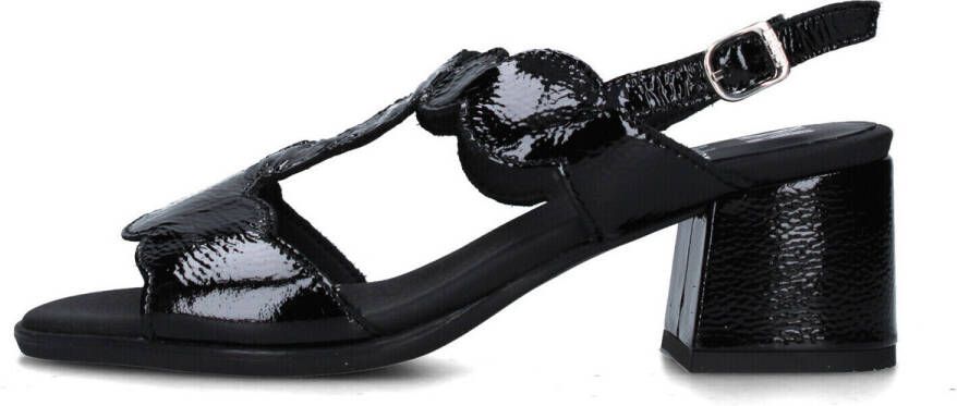 CallagHan Pumps 34205