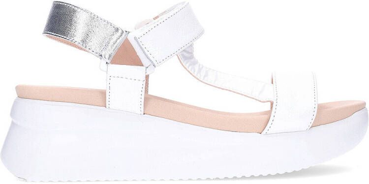 CallagHan Sandalen Llana 29925 dames sandalen