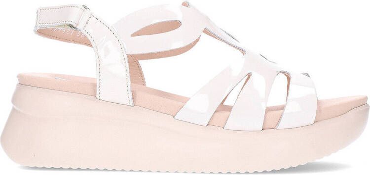 CallagHan Sandalen Llana 29927 damessandalen