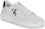 Calvin Klein Plateausneakers SEAMUS 20L vrijetijdsschoen lage schoen veterschoen met contrast bies - Thumbnail 4