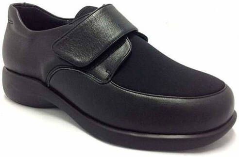 Silvio Ballerina's 1305 Bandeleta