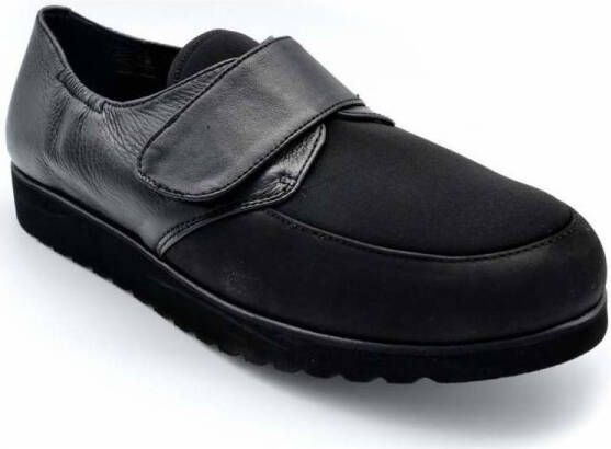 Silvio Ballerina's 1311