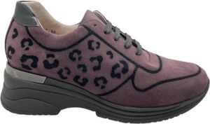 Calzaturificio Loren Wandelschoenen LOA1144mal
