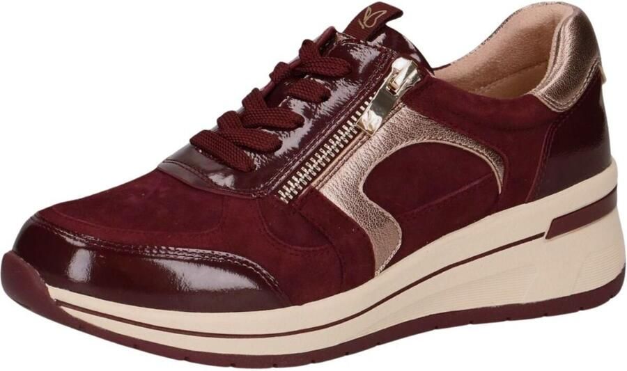 Caprice art 9-23300-44 551 -veter rits bordo-dames