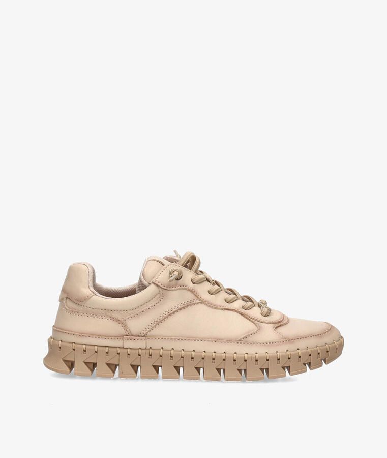 Carmela Sneakers 164218