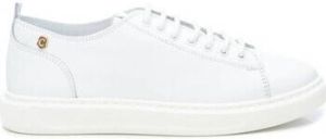 Carmela Sneakers