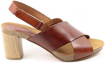 Casarini Sandalen DAMES sandaal 21065 QUE bruin - Schoenen.nl