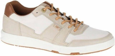 Caterpillar Lage Sneakers LINE UP CANVAS M CASHEW