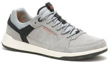 Caterpillar Lage Sneakers QUEST RACER WILD DOVE