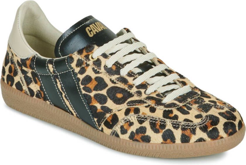 Caval Hoge Sneakers LEO OBSESSION