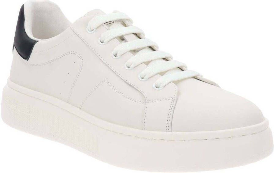 Cesare Paciotti Lage Sneakers 4US0031
