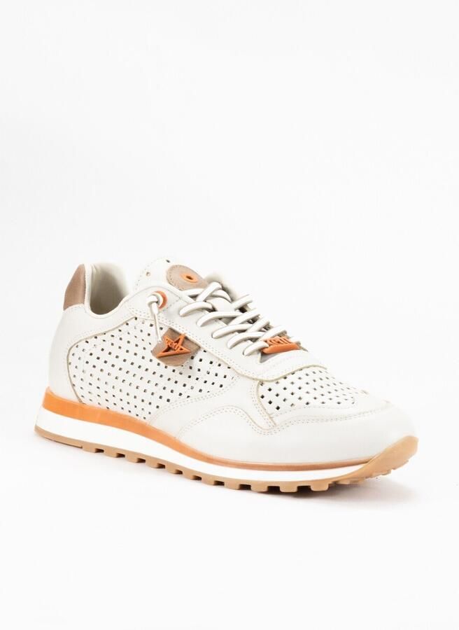 Cetti Lage Sneakers 41674