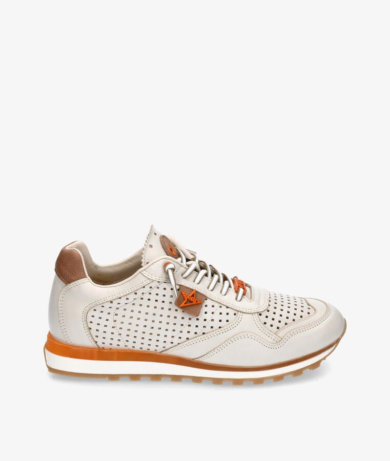 Cetti Lage Sneakers C-848