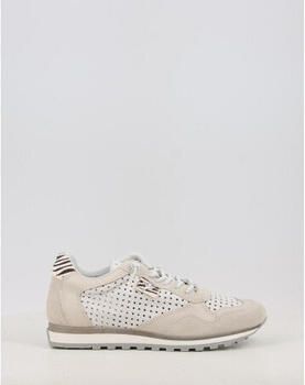 Cetti Lage Sneakers C-848