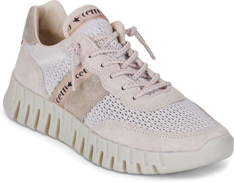 Cetti Lage Sneakers C-849-SRA-EXP-V26-ANTE-REJILLA-IVORY