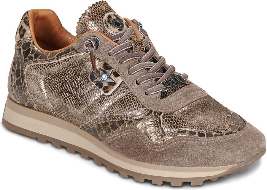 Cetti Lage Sneakers C848