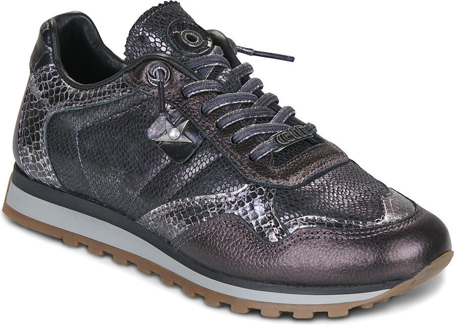 Cetti Lage Sneakers C848