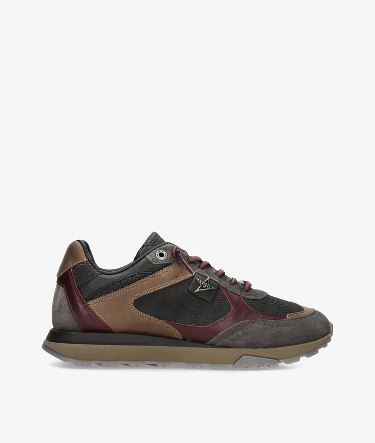Cetti Sneakers C-1428