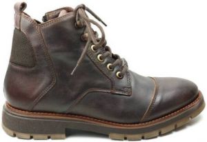Cetti Laarzen HEREN hoge veterschoen C1329 bruin