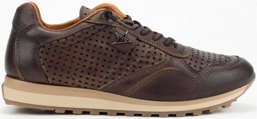 Cetti Sneakers 34993