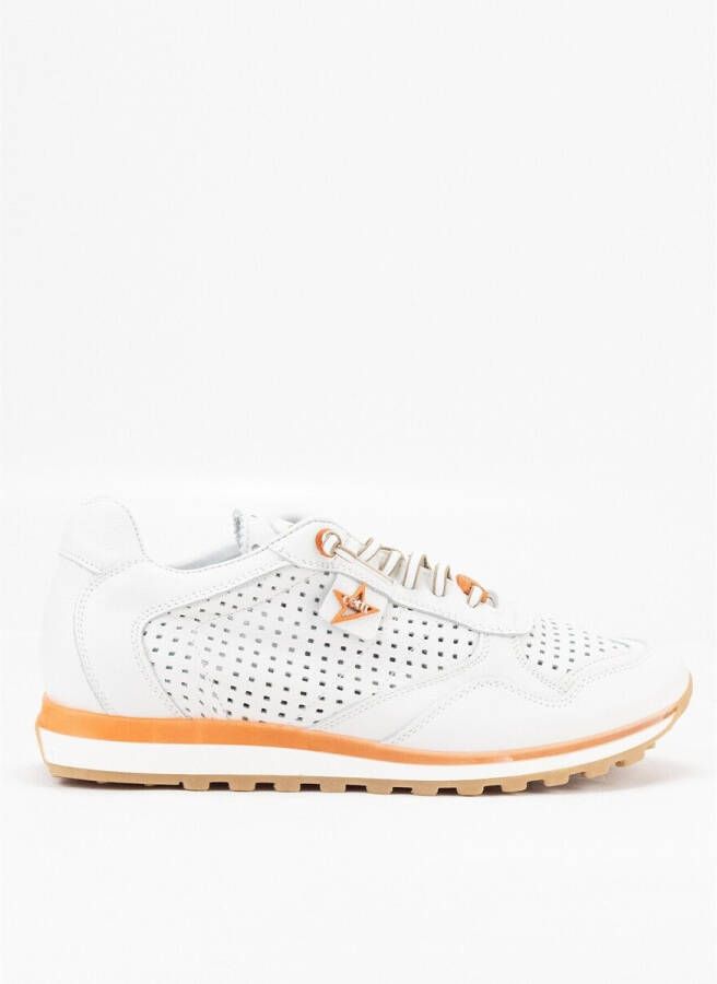 Cetti Sneakers C848 V25
