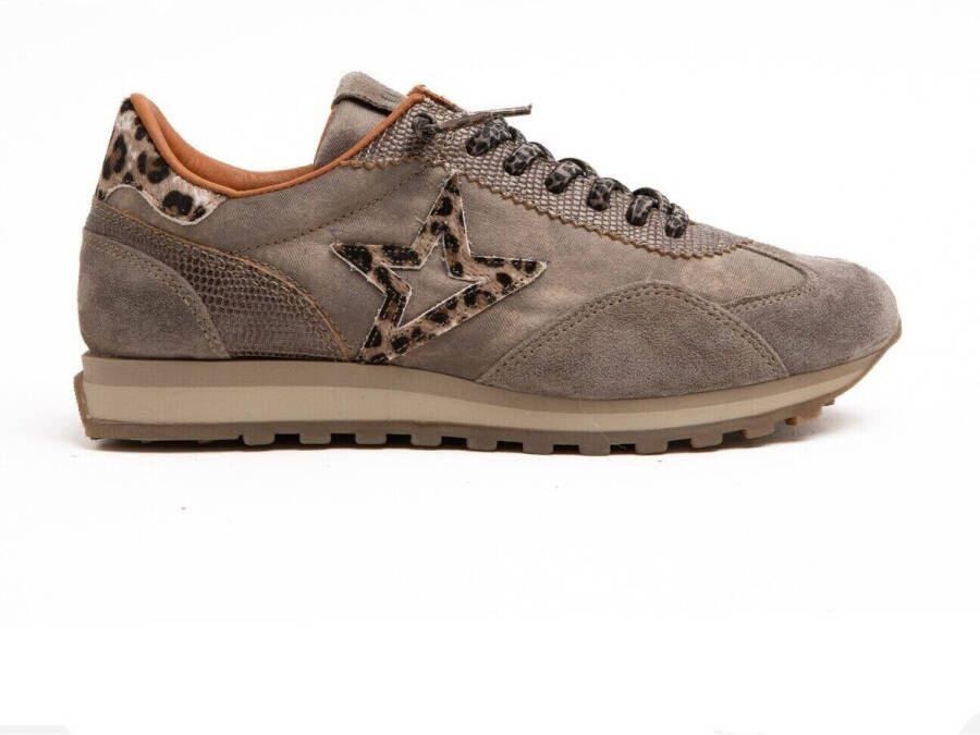 Cetti Lage Sneakers C-1259 SRA