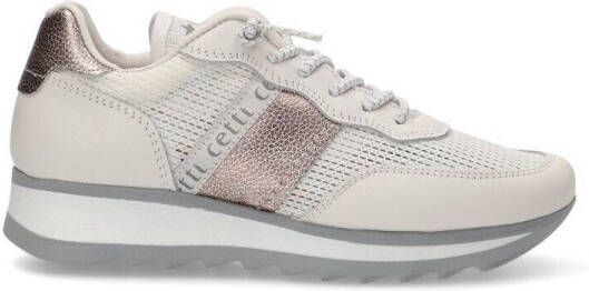 Cetti Lage Sneakers 78499