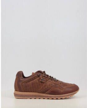 Cetti Lage Sneakers 848