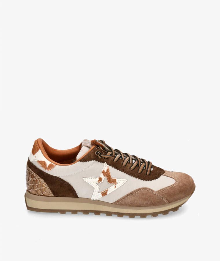 Cetti Lage Sneakers C-1259 SRA