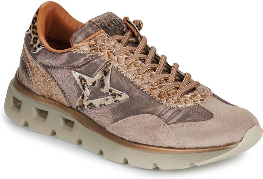Cetti Lage Sneakers C-1259-SRA-XLEXP-INV-ANTE-METAL-DESSERT