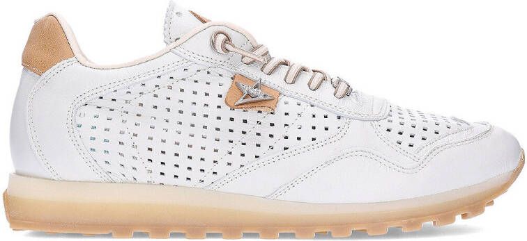 Cetti Lage Sneakers C-848 V25 Sportschoenen