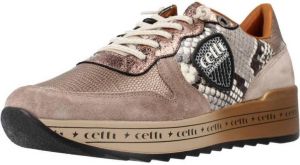 Cetti Sneakers C1251ANTE