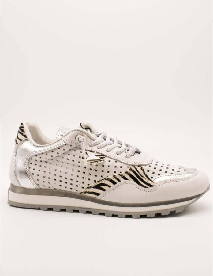 Cetti Sneakers