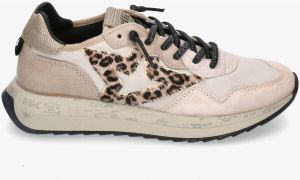 Cetti Sneakers C-1311 SRA