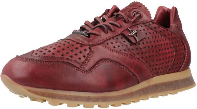 Cetti Sneakers C848 INV26