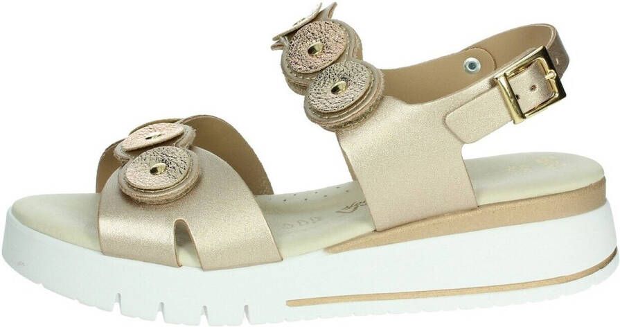 Cinzia Soft Sandalen LF023080